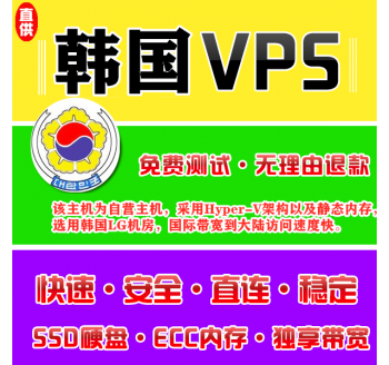 韩国VPS机房4096M国外，手机谷歌翻译网页